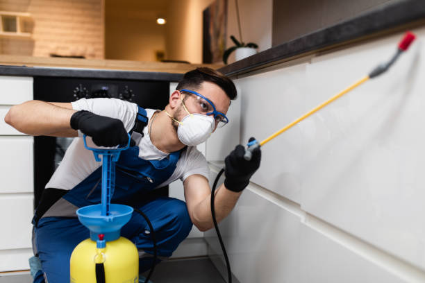 Best Cockroach Control Services  in Rosebud, TX