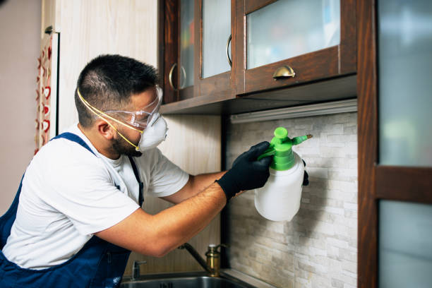 Best Emergency Pest Control  in Rosebud, TX