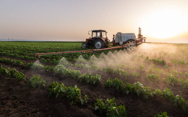 Best Pest Prevention Services  in Rosebud, TX