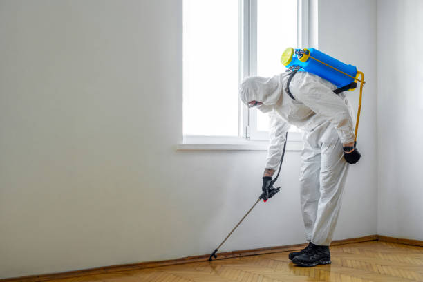 Trusted Rosebud, TX Pest Control Experts