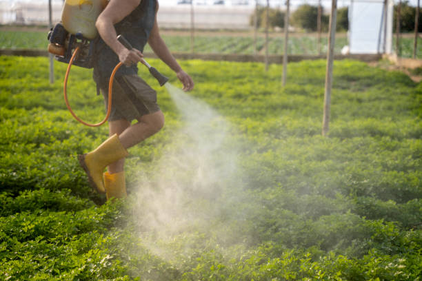 Best Affordable Pest Control Services  in Rosebud, TX