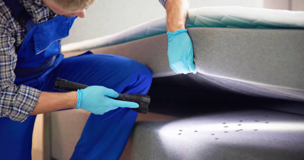 Best Pest Control Near Me  in Rosebud, TX