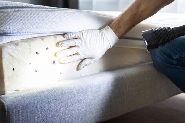 Best Affordable Pest Control Services  in Rosebud, TX