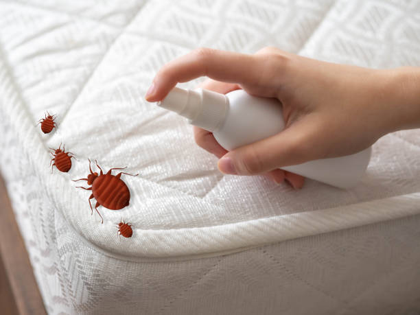 Best Pest Control Cost  in Rosebud, TX