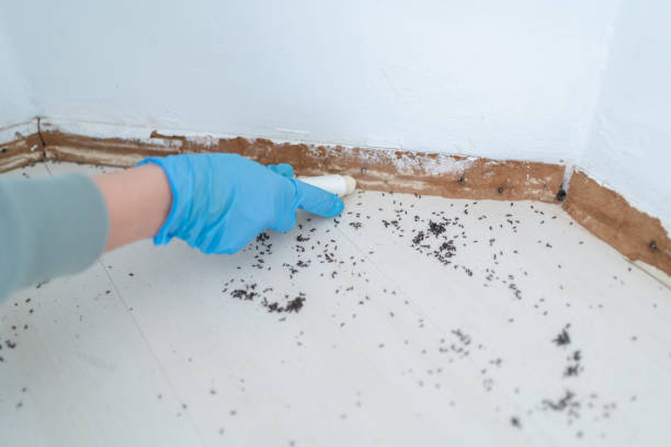 Best Best Pest Control Companies  in Rosebud, TX